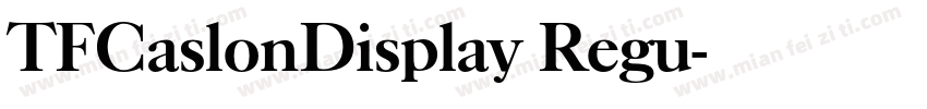 TFCaslonDisplay Regu字体转换